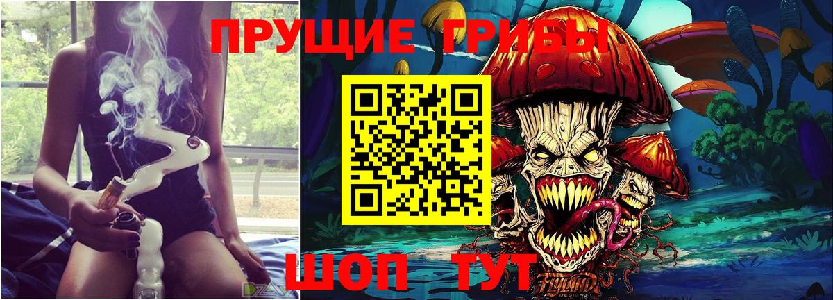 Псилоцибиновые грибы Psilocybe  Вход с VPN  Псилоцибиновые грибы Psilocybe  Углич 