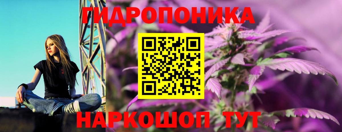 МАРИХУАНА Ganja Углич